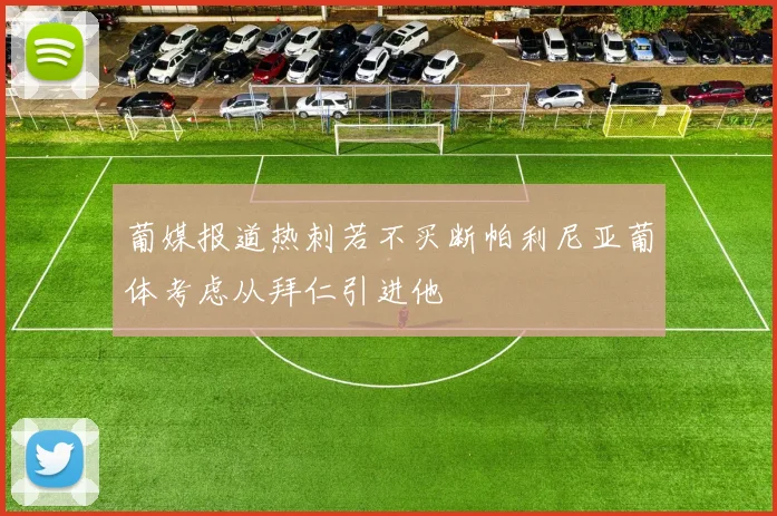 葡媒报道热刺若不买断帕利尼亚葡体考虑从拜仁引进他
